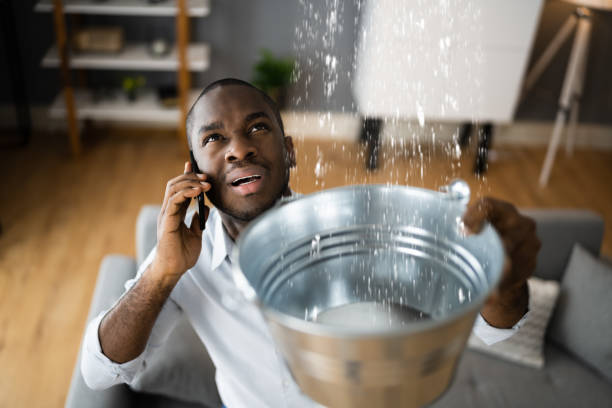 Best Sewage cleanup and water damage restoration  in Hudson, NY