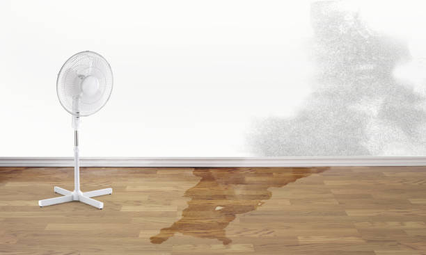 Best Water damage cleanup near me  in Hudson, NY