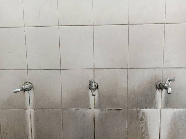 Best Water damage restoration near me  in Hudson, NY