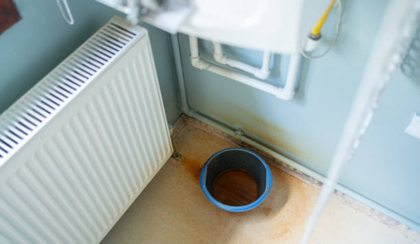 Best Local water damage restoration  in Hudson, NY
