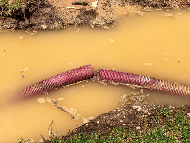 Best 24/7 water damage repair  in Hudson, NY