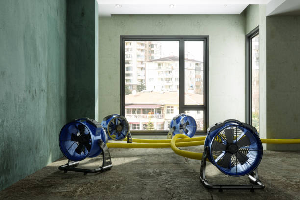 Best Basement water damage restoration  in Hudson, NY
